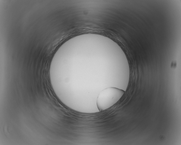 X0000114130621200910081004