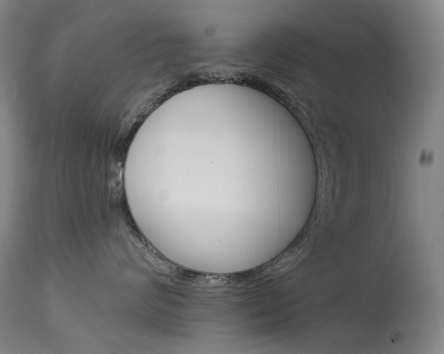 X0000114130624200910081004