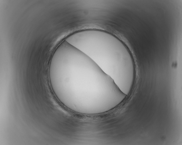 X0000114130625200910081003