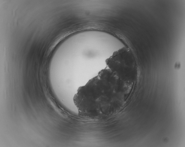 X0000114130626200910081003