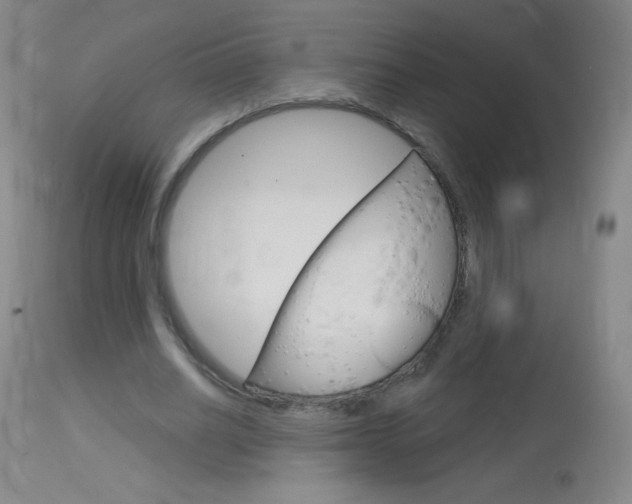 X0000114130630200910081003