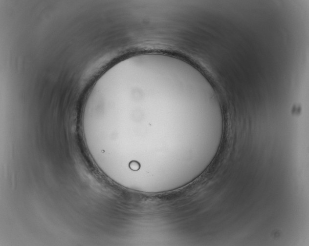 X0000114130631200910081003
