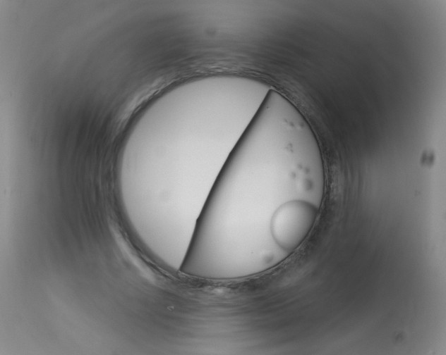 X0000114130634200910081003