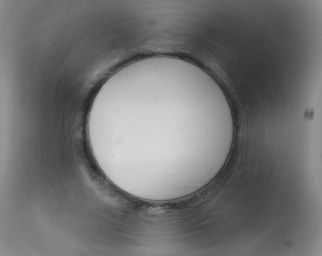 X0000114130635200910081003