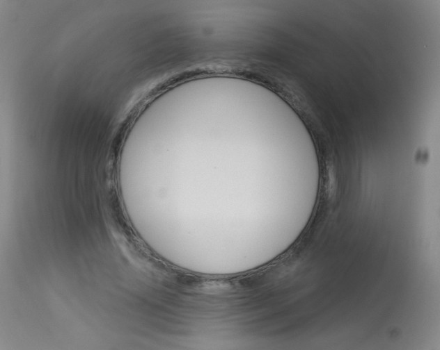 X0000114130636200910081003
