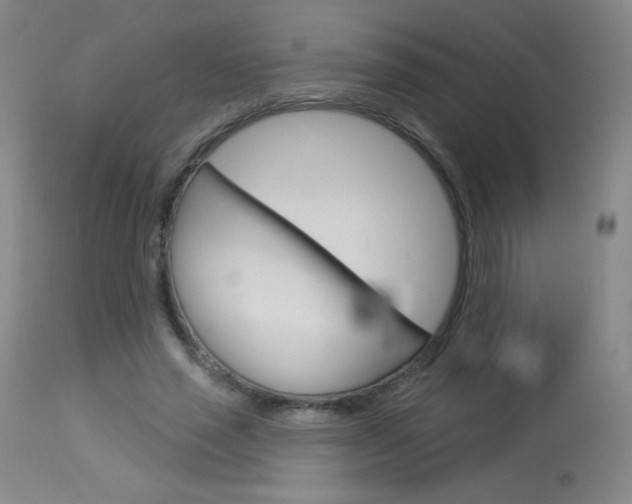 X0000114130637200910081003
