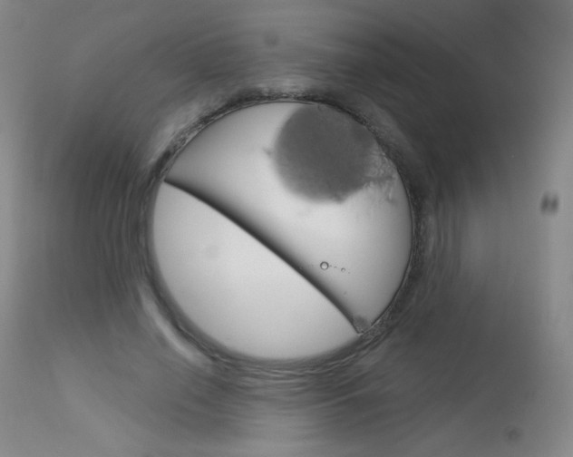 X0000114130638200910081003