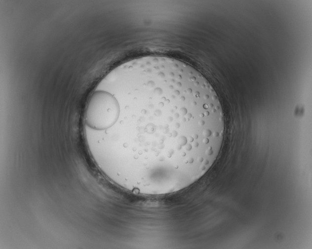 X0000114130639200910081003