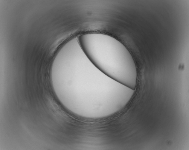 X0000114130640200910081003