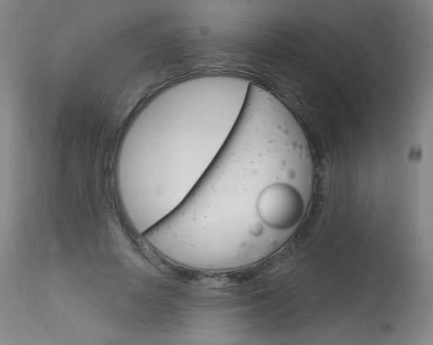 X0000114130642200910081003