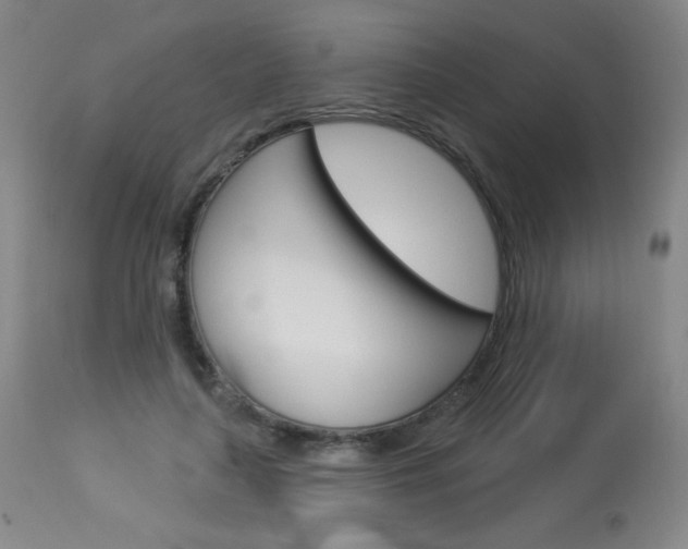 X0000114130643200910081003