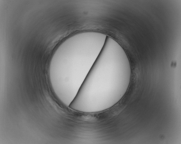 X0000114130644200910081003