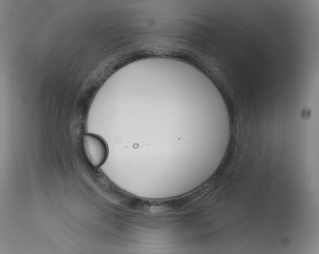 X0000114130645200910081003