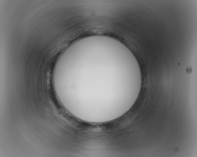 X0000114130646200910081003