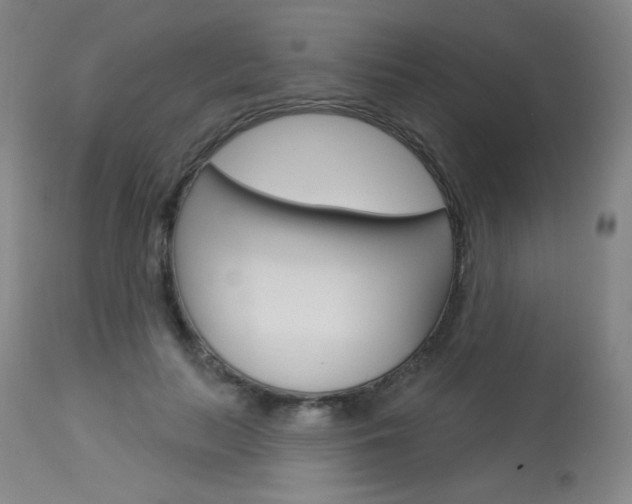 X0000114130647200910081003