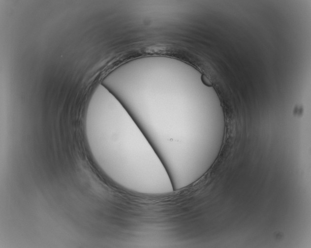 X0000114130648200910081003