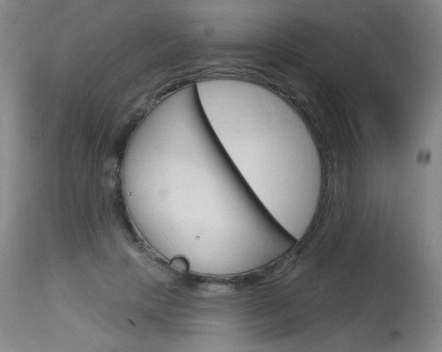 X0000114130649200910081003