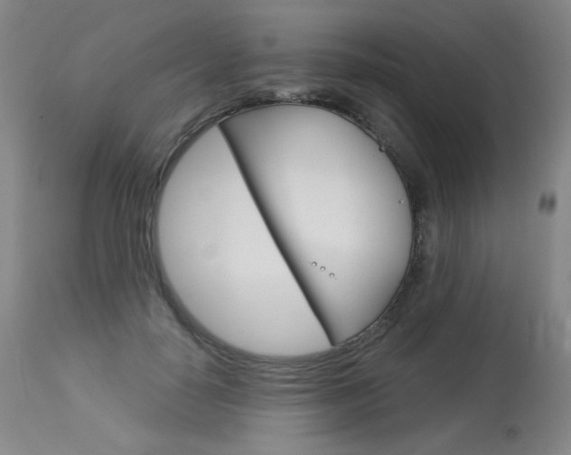 X0000114130650200910081004