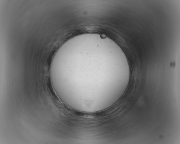 X0000114130651200910081004