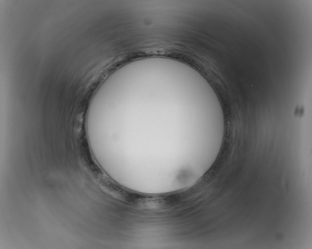 X0000114130652200910081004