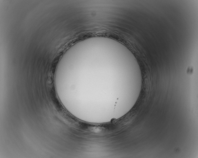 X0000114130654200910081004