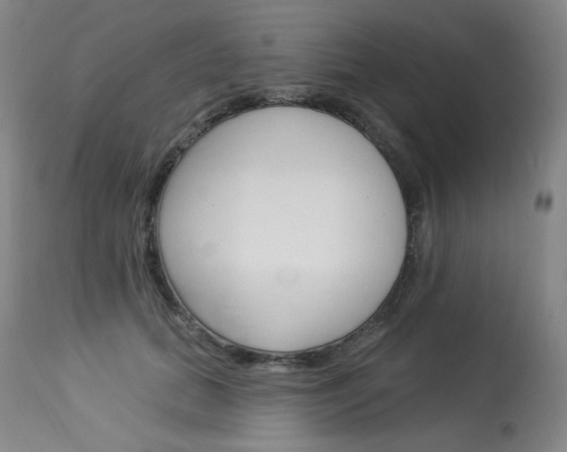 X0000114130655200910081004