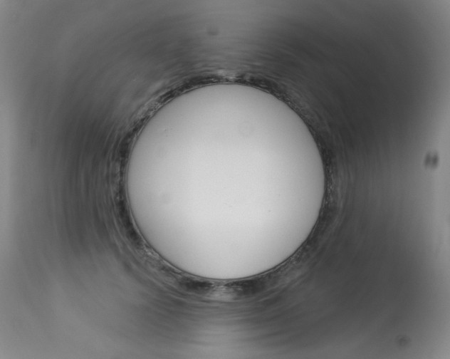 X0000114130656200910081004