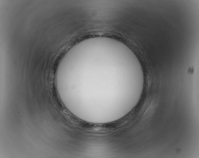 X0000114130657200910081004