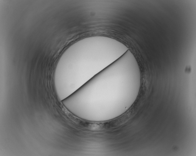 X0000114130660200910081004