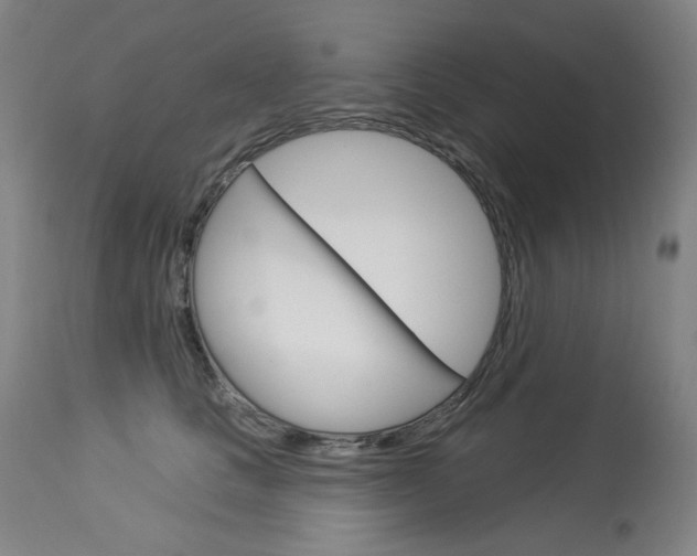 X0000114130661200910081004