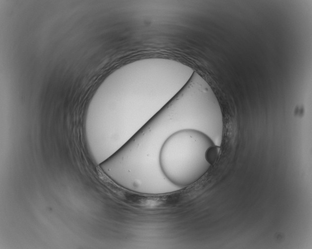 X0000114130662200910081004