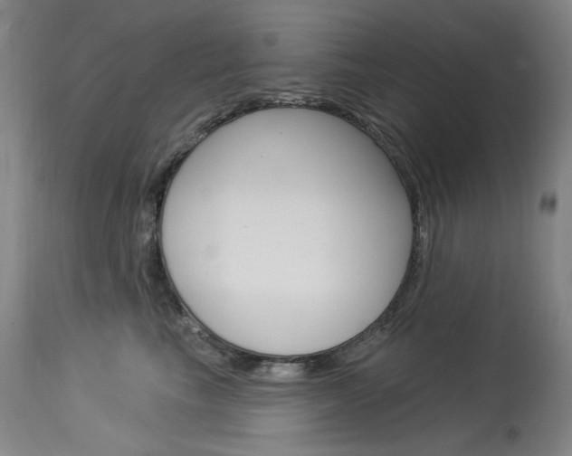 X0000114130665200910081004