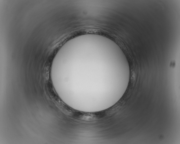 X0000114130666200910081004