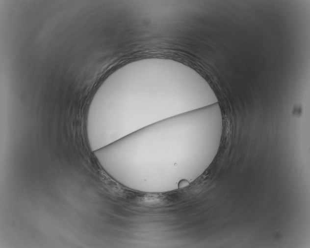 X0000114130668200910081004