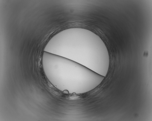 X0000114130669200910081004