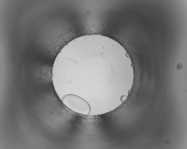 X0000114130672200910081004