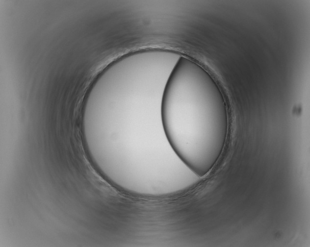 X0000114130673200910081003