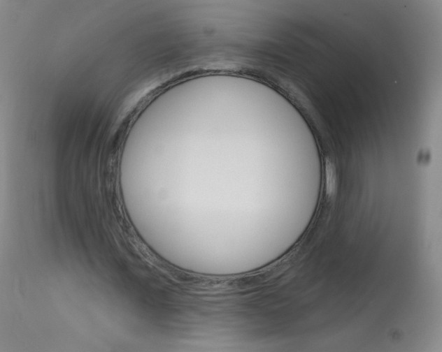 X0000114130675200910081003