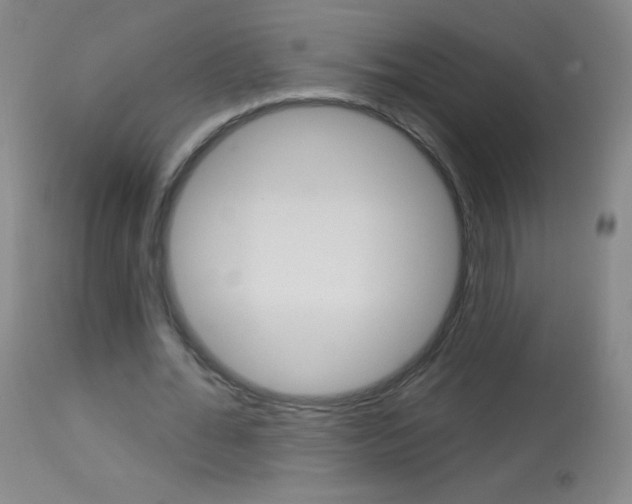 X0000114130676200910081003