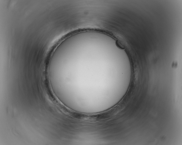 X0000114130680200910081003