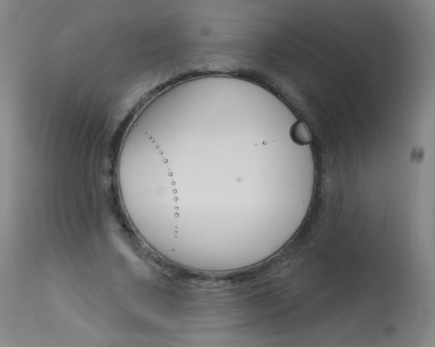 X0000114130683200910081003