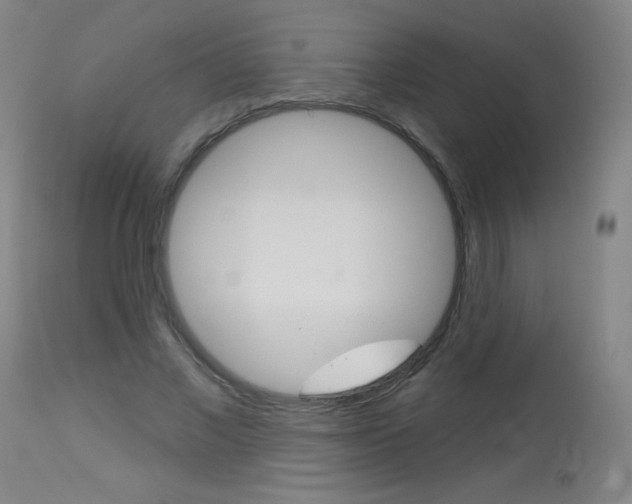 X0000114130685200910081003