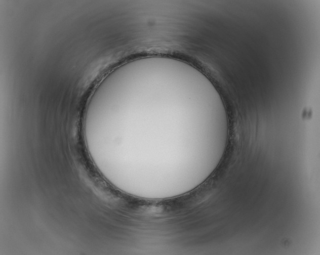 X0000114130687200910081003