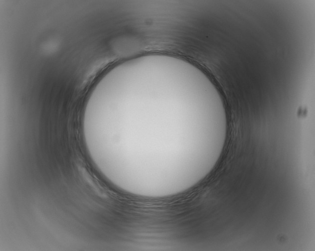 X0000114130688200910081003