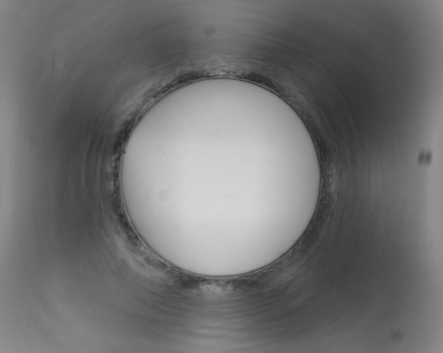X0000114130690200910081003