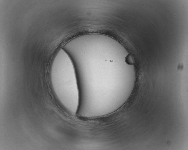 X0000114130691200910081003