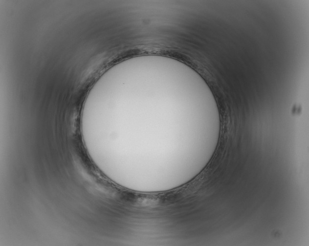 X0000114130694200910081003