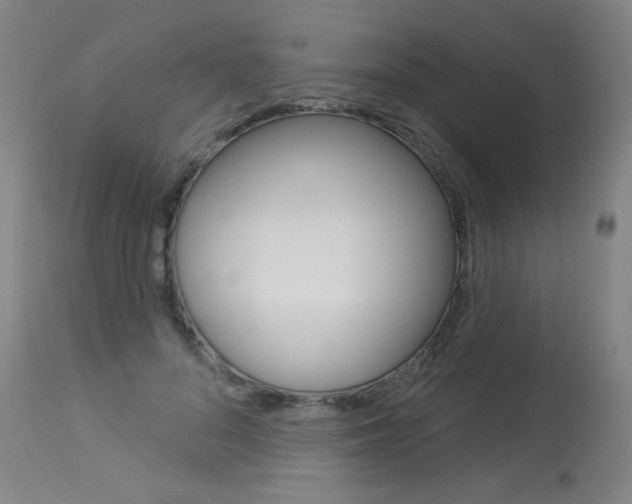 X0000114130696200910081003