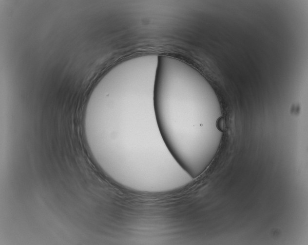 X0000114130697200910081003
