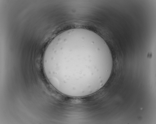 X0000114130698200910081003